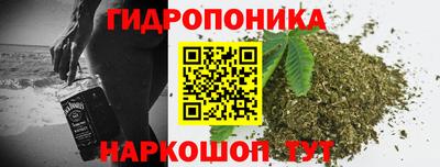 гидра Донецк